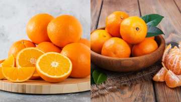 Oranges and Tangerine