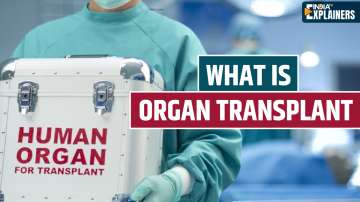 What are the rules and regulations related to organ transplant? 