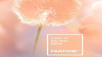 Peach Fuzz is Pantone's 2024 color of the year