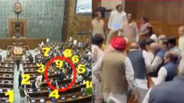 Parliament security breach, Parliament Winter Session, Lok Sabha