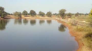 Bihar Pond stolen, bihar sand stolen, water removed from pond in bihar, surface flattened, hut const
