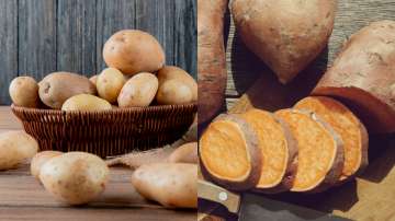White potato vs Sweet potato