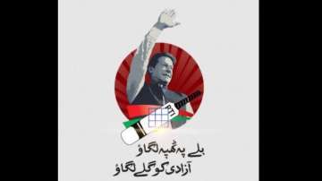 The official 'bat' symbol shared by the Pakistan Tehreek-e-Insaf (PTI) after the verdict.