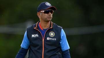 Rahul Dravid coaching extension