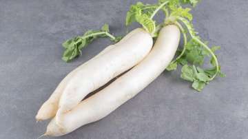 Radish