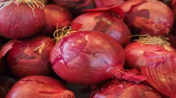 Onions, Onion prices, Export ban on onions
