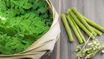 Superfood Moringa