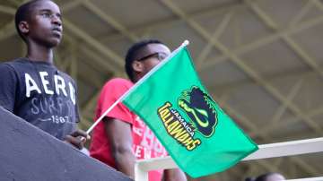 Jamaica Tallawahs 