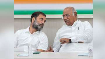 Congress, Lok sabha elections, INDIA bloc 