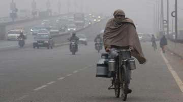 Delhi weather, Delhi cold wave, Delhi fog, Delhi winters, Delhi temperatures