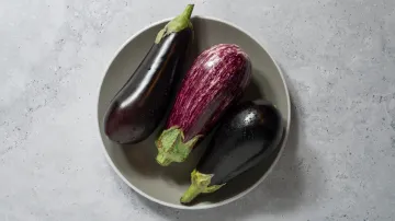 Eggplant