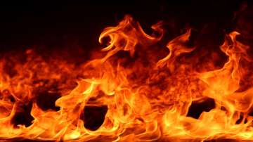 Delhi, Delhi Police, Delhi crime, crime news, Crime stories, Man set on fire by woman in Delhi