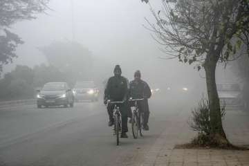 Vehicles move on a road amid low visibility due to a thick layer of fog in New Delhi