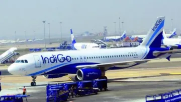 IndiGo