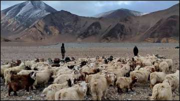 Ladakh, Indian shepherds, Chinese soldiers, border dispute