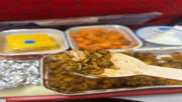 Air India, Vegetarian passenger served non veg meal, Air India flight served chicken to vegetarian p