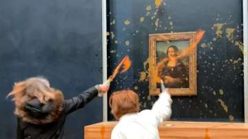 Protestors throw soup at Mona Lisa Painting