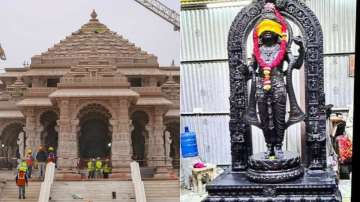 Ram Mandir and Ram Lalla idol