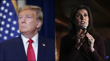 United States, Donald Trump, Nikki Haley, racist remarks