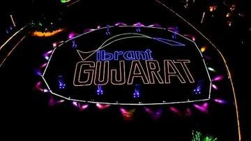 Vibrant Gujarat attendees to be served all-vegetarian meals