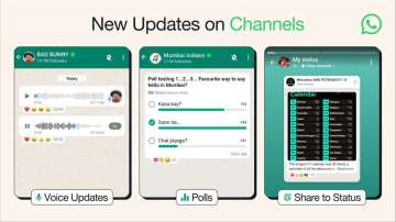 whatsapp channels, whatsapp channels new feature, whatsapp channel poll feature, tech news, meta