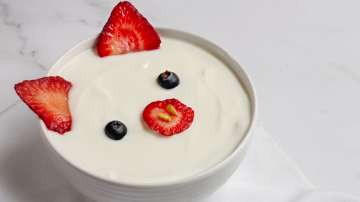 Yoghurt benefits