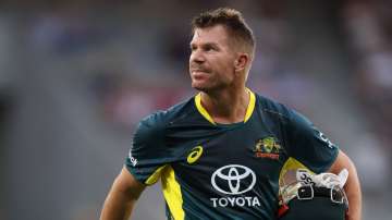 David Warner played his last international match on Australian soil scoring 81 off 49 in the third T20I against West Indies