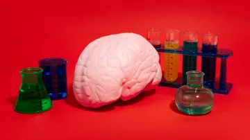 alcohol affect the brain