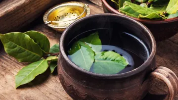 bay leaf water