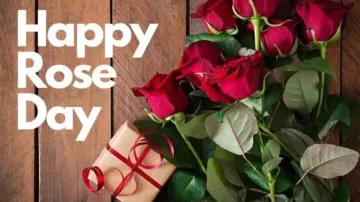 Happy Rose Day 2024