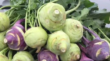 Superfood Kohlrabi