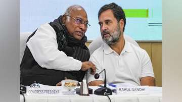 Congress promises to bring law ensuring MSP for various crops if INDIA alliance voted to power
