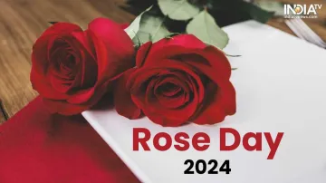 Rose Day 2024