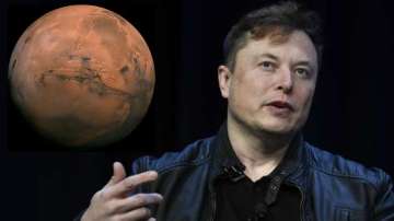Elon Musk, spacex, tech news