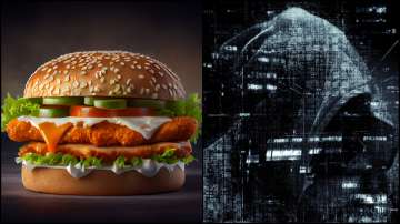 Burger Singh, Pakistan hacking group