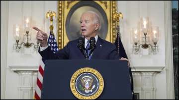 US, Biden, Biden gaffe, special counsel report
