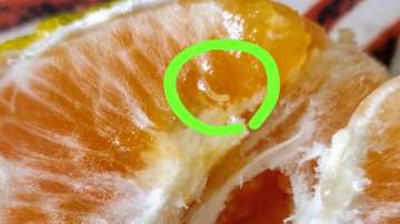 Worm found in orange ordered from Zepto