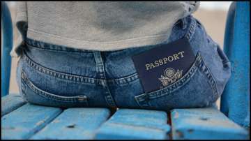 Henley Passport Index, India passport ranking, France and Germany
