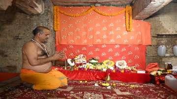 Priest performs puja inside 'Vyas Ka Tekhana'