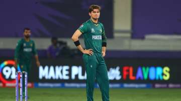 Shaheen Afridi, PSL