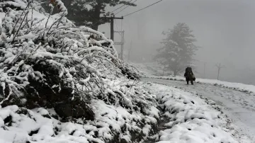 Himachal Pradesh: 475 roads blocked, power, water supply disrupted