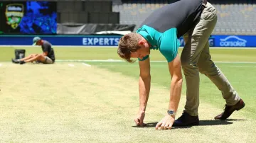 Pitch at the Perth Stadium.