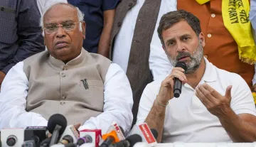 Congress President Mallikarjun Kharge and party leader Rahul Gandhi