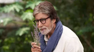 amitabh jalsa auction