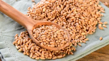 Superfood Farro