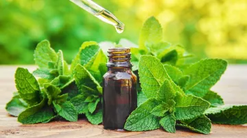 Superfood Peppermint