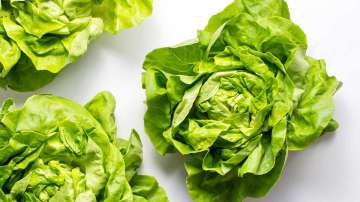 Superfood Butter Lettuce