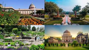 parks and gardens in Delhi