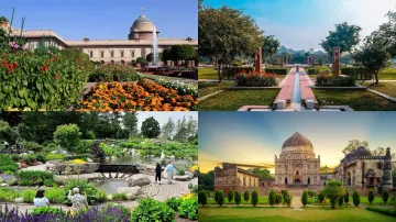 parks and gardens in Delhi