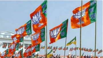 BJP, Madhya Pradesh, Lok Sabha elections, India